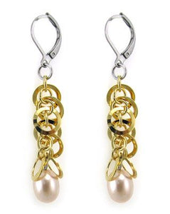 315 stainless steel jewelry Earrings