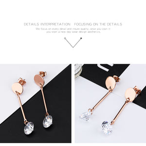 Fancy stainless steel jewelry Earrings